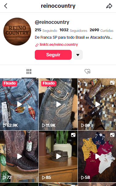 TikTok Reino Country